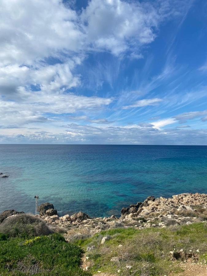 Diamond Apartment With Stunning Sea View パ フォス エクステリア 写真